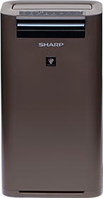 Oczyszczacz Sharp UA-HG40E-T