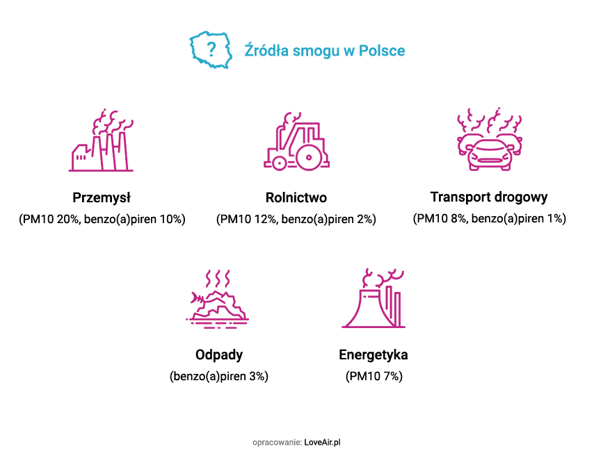 Grafika przedstawiająca źródła smogu w Polse
