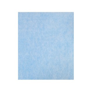 Filtr drobnego pyłu do Coway Storm