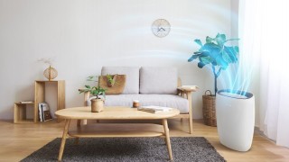 Toshiba CAF-X50XPL aranżacja oczyszczacza