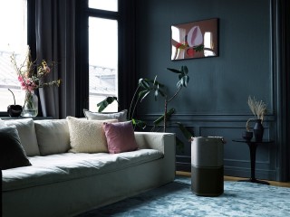 Electrolux Pure A9 PA91-404DG aranżacja oczyszczacza