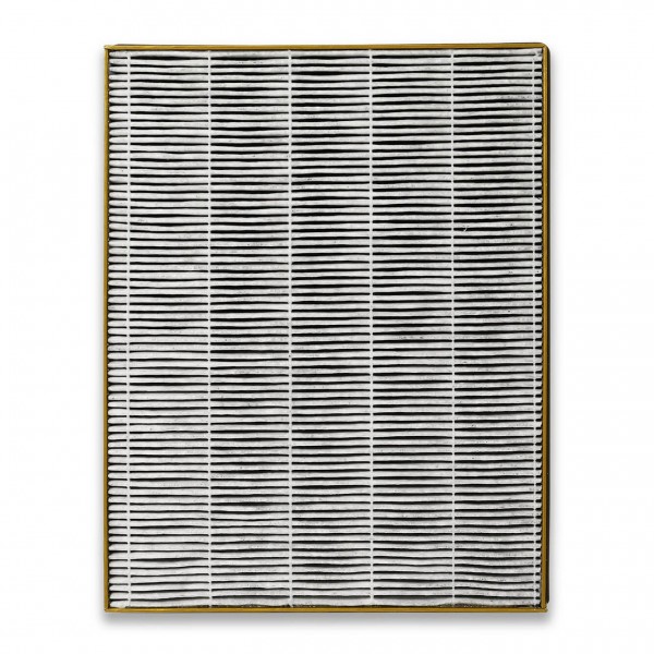 Filtr do oczyszczacza Toshiba CAF-H30(W)