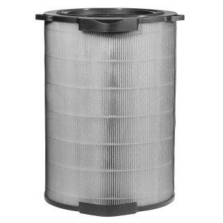 Filtr Electrolux EFDFRH6