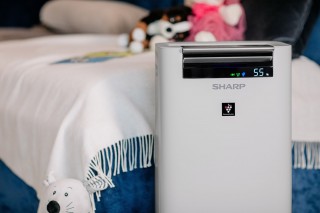 Sharp UA-HG50E-L - aranżacja oczyszczacza