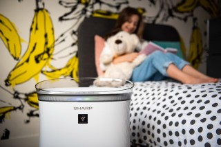 Sharp UA-PF40E-W - zdjęcie lifestyle