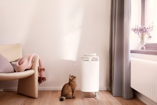 Blueair DustMagnet 5210i - aranżacja oczyszczacza