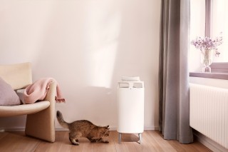 Blueair DustMagnet 5210i - aranżacja oczyszczacza