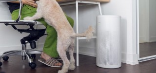 Aranżacja oczyszczacza LIFAair LA352C