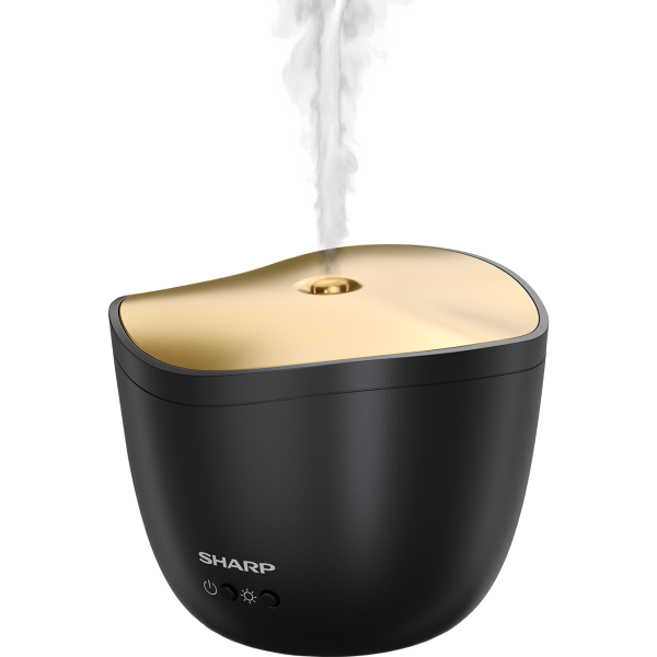 Sharp DF-A1E-B - czarny