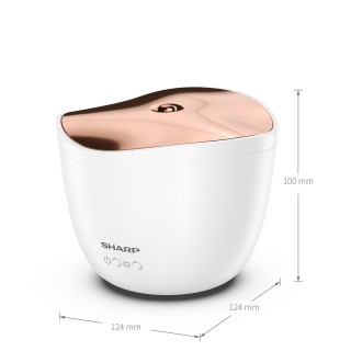 Sharp DF-A1E-W - wymiary