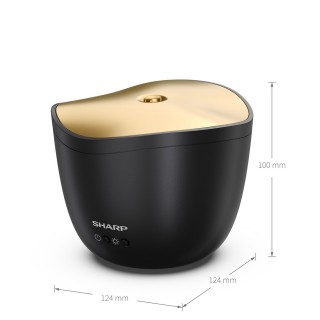 Sharp DF-A1E-B - wymiary