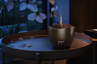 Sharp DF-A1E-T - aranżacja dyfuzora