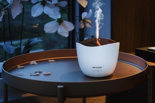 Sharp DF-A1E-W - aranżacja dyfuzora