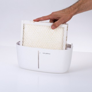 Stylies Alaze - mata ewaporacyjna