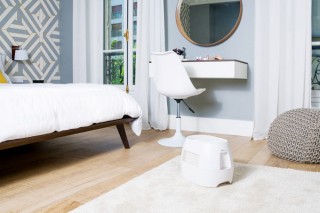 Stylies Orion - aranżacja nawilżacza