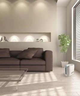 Stylies Mira - aranżacja nawilżacza