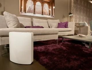 Stylies Leonis - aranżacja nawilżacza