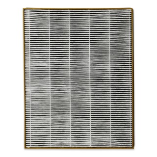 Toshiba CAF-Z123XPL - filtr 5w1