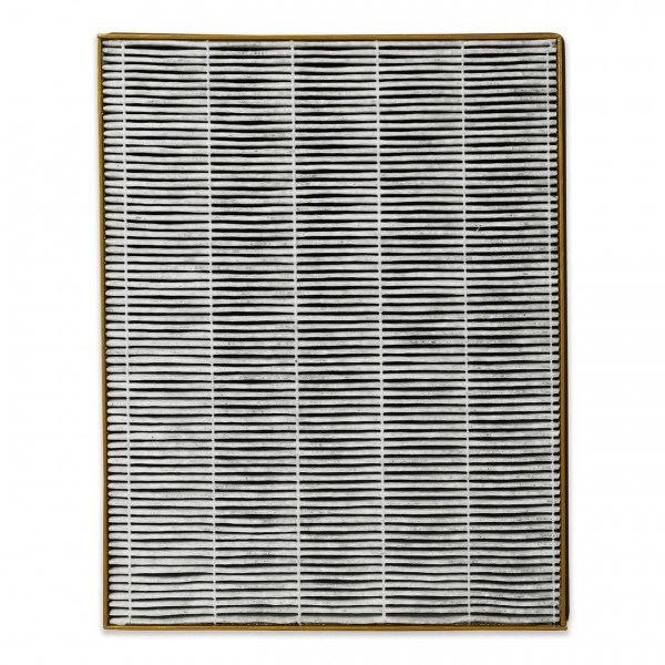 Filtr do oczyszczacza Toshiba CAFZ123XPL(W)FS