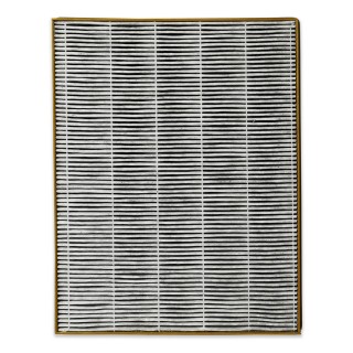 Filtr do oczyszczacza TOSHIBA CAF-Z123XPL