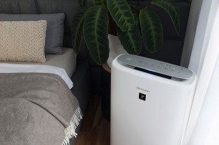 Sharp UA-KIN42E-W - aranżacja oczyszczacza w sypialni