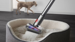 Dyson V12 Detect Slim™ Absolute - mini elektroszczotka zapobiegająca plątaniu
