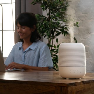 Stylies Lynx - aranżacja nawilżacza