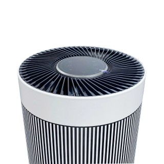 Winix T800 - widok na górną część