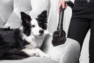 Concept VP5150 Furious Home & Pet - turboszczotka podczas odkurzania