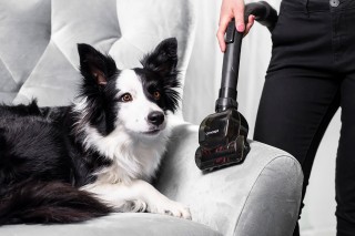 Concept VP5151 Furious Animal - turboszczotka