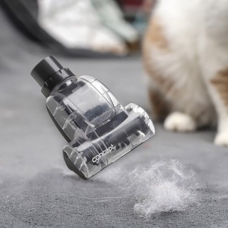 Concept VP5240n 4A Radical Pet Expert - mała turboszczotka