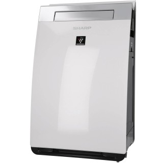 Sharp KI-G75EUW